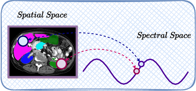 Figure 4 for Harmonized Spatial and Spectral Learning for Robust and Generalized Medical Image Segmentation