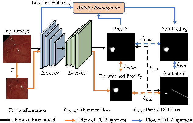 Figure 2 for ScribblePolyp: Scribble-Supervised Polyp Segmentation through Dual Consistency Alignment