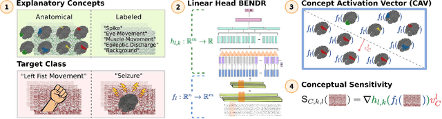 Figure 1 for Concept-based explainability for an EEG transformer model