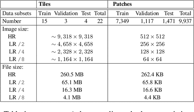 Figure 2 for SR-CACO-2: A Dataset for Confocal Fluorescence Microscopy Image Super-Resolution