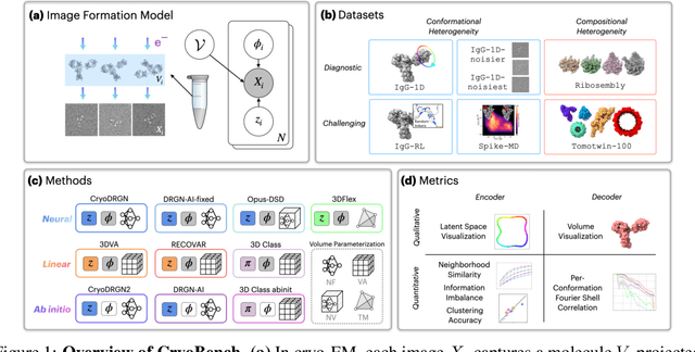 Figure 1 for CryoBench: Diverse and challenging datasets for the heterogeneity problem in cryo-EM