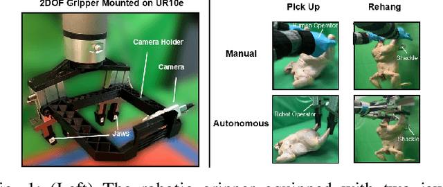 Figure 1 for ChicGrasp: Imitation-Learning based Customized Dual-Jaw Gripper Control for Delicate, Irregular Bio-products Manipulation