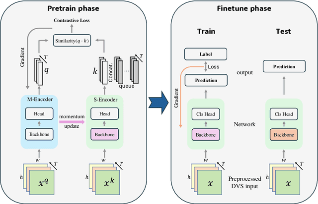 Figure 1 for NeuroMoCo: A Neuromorphic Momentum Contrast Learning Method for Spiking Neural Networks