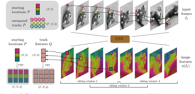 Figure 3 for CoTracker: It is Better to Track Together