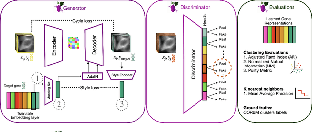 Figure 1 for Gene-Level Representation Learning via Interventional Style Transfer in Optical Pooled Screening