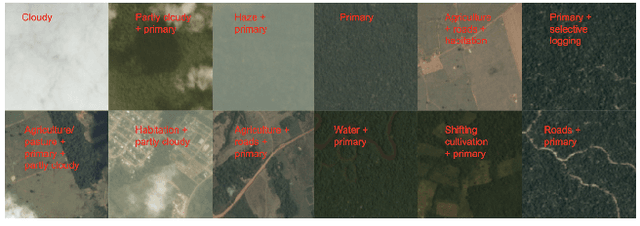 Figure 4 for Comparing Importance Sampling Based Methods for Mitigating the Effect of Class Imbalance