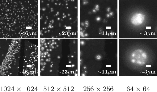 Figure 2 for Transcriptome-supervised classification of tissue morphology using deep learning