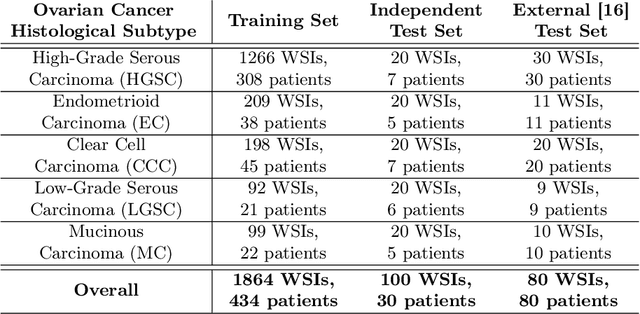 Figure 1 for Multi-Resolution Histopathology Patch Graphs for Ovarian Cancer Subtyping