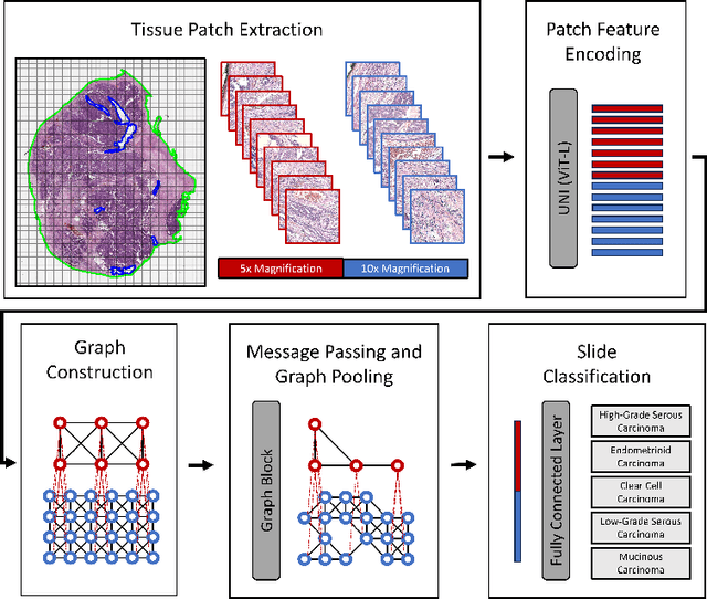 Figure 2 for Multi-Resolution Histopathology Patch Graphs for Ovarian Cancer Subtyping