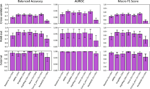 Figure 3 for Multi-Resolution Histopathology Patch Graphs for Ovarian Cancer Subtyping