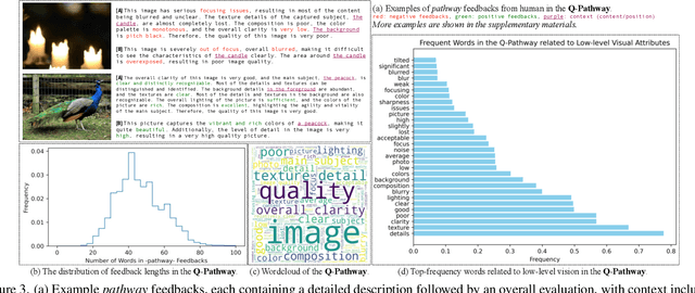 Figure 4 for Q-Instruct: Improving Low-level Visual Abilities for Multi-modality Foundation Models