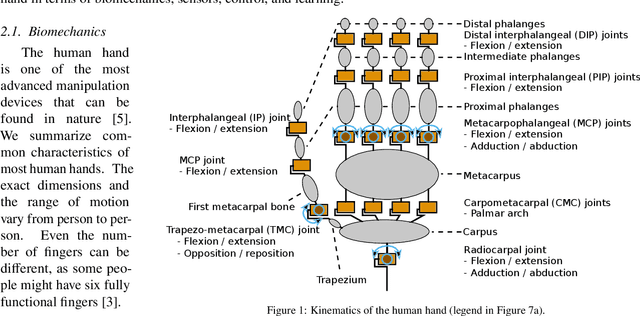Figure 1 for Do Robots Really Need Anthropomorphic Hands?
