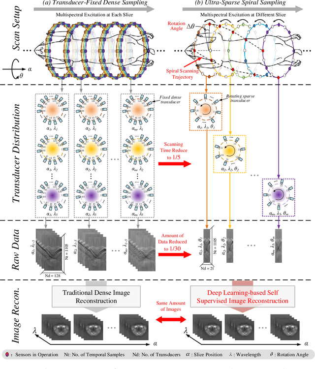 Figure 1 for Spiral Scanning and Self-Supervised Image Reconstruction Enable Ultra-Sparse Sampling Multispectral Photoacoustic Tomography