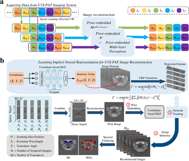 Figure 2 for Spiral Scanning and Self-Supervised Image Reconstruction Enable Ultra-Sparse Sampling Multispectral Photoacoustic Tomography