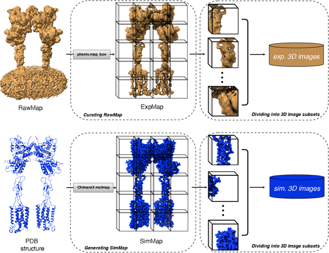 Figure 1 for Synthetic High-resolution Cryo-EM Density Maps with Generative Adversarial Networks