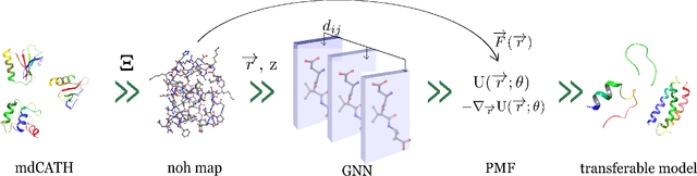 Figure 1 for AMARO: All Heavy-Atom Transferable Neural Network Potentials of Protein Thermodynamics