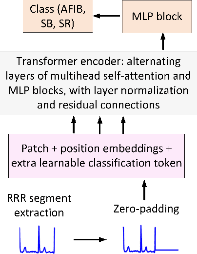 Figure 2 for Deciphering Heartbeat Signatures: A Vision Transformer Approach to Explainable Atrial Fibrillation Detection from ECG Signals