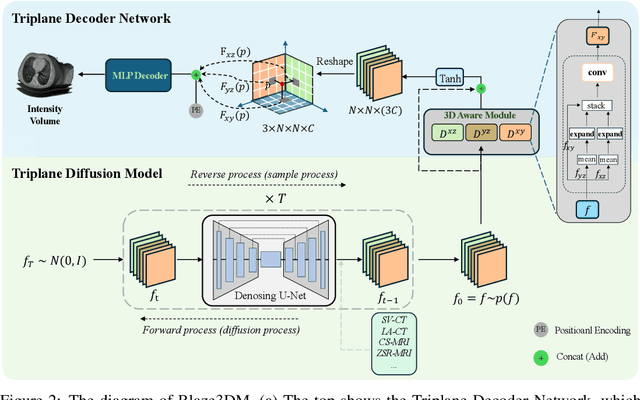 Figure 2 for Blaze3DM: Marry Triplane Representation with Diffusion for 3D Medical Inverse Problem Solving
