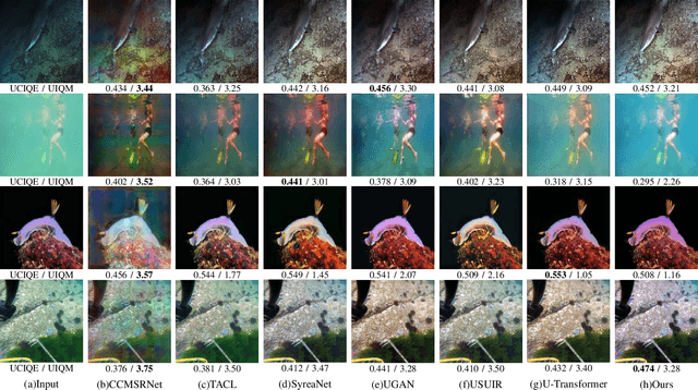 Figure 3 for Underwater Image Restoration Through a Prior Guided Hybrid Sense Approach and Extensive Benchmark Analysis