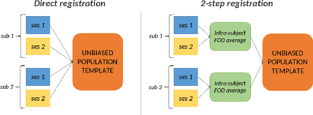 Figure 1 for Two-step registration method boosts sensitivity in longitudinal fixel-based analyses