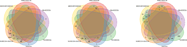 Figure 3 for Nonlinear Sparse Generalized Canonical Correlation Analysis for Multi-view High-dimensional Data