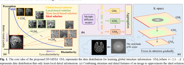 Figure 1 for DP-MDM: Detail-Preserving MR Reconstruction via Multiple Diffusion Models