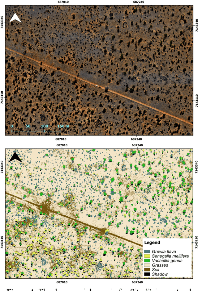 Figure 2 for Mapping savannah woody vegetation at the species level with multispecral drone and hyperspectral EnMAP data