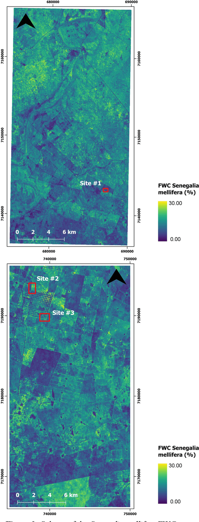 Figure 4 for Mapping savannah woody vegetation at the species level with multispecral drone and hyperspectral EnMAP data