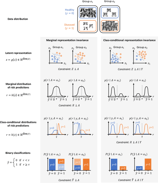 Figure 1 for Are demographically invariant models and representations in medical imaging fair?