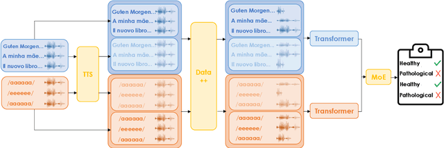 Figure 1 for Voice Disorder Analysis: a Transformer-based Approach