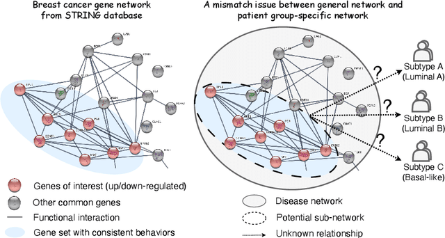 Figure 1 for GeSubNet: Gene Interaction Inference for Disease Subtype Network Generation