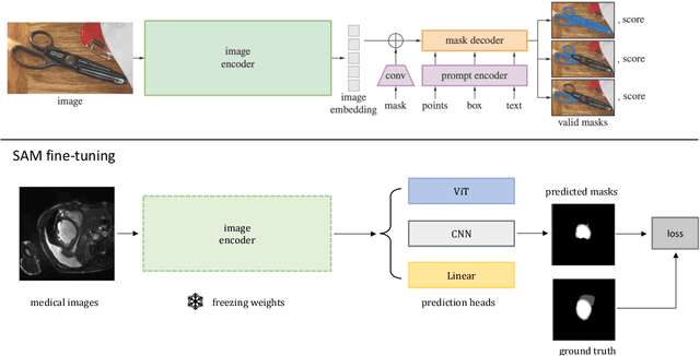 Figure 3 for How to Efficiently Adapt Large Segmentation Model(SAM) to Medical Images