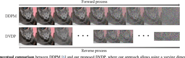 Figure 1 for Dimensionality-Varying Diffusion Process