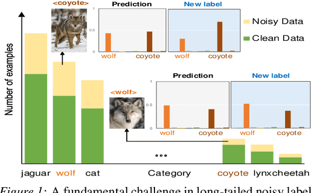 Figure 1 for Addressing Long-Tail Noisy Label Learning Problems: a Two-Stage Solution with Label Refurbishment Considering Label Rarity