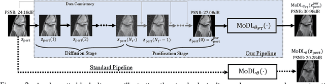 Figure 3 for Diffusion-based Adversarial Purification for Robust Deep MRI Reconstruction