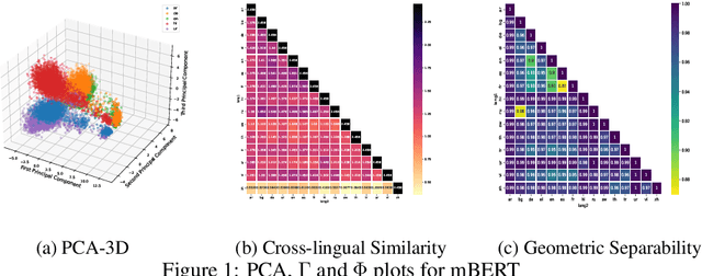 Figure 1 for The Geometry of Multilingual Language Models: An Equality Lens