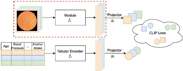 Figure 1 for Predicting Stroke through Retinal Graphs and Multimodal Self-supervised Learning