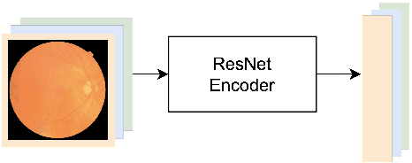 Figure 3 for Predicting Stroke through Retinal Graphs and Multimodal Self-supervised Learning