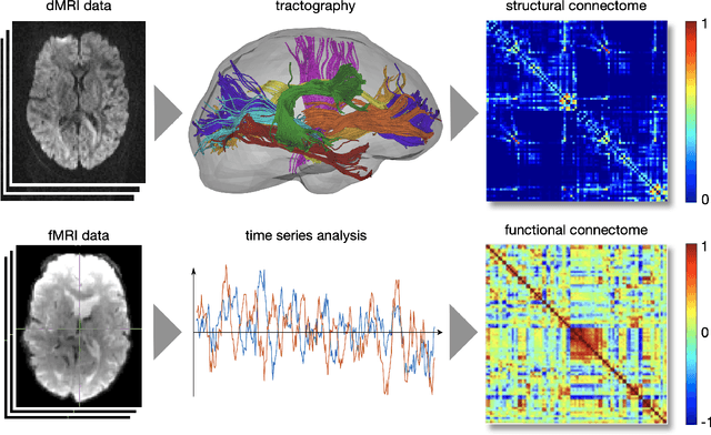 Figure 4 for From Nano to Macro: Overview of the IEEE Bio Image and Signal Processing Technical Committee