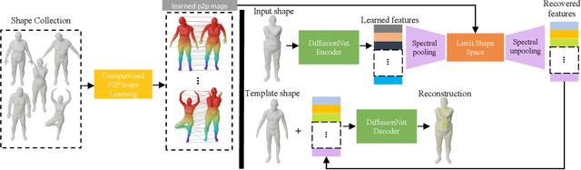 Figure 1 for Unsupervised Representation Learning for Diverse Deformable Shape Collections