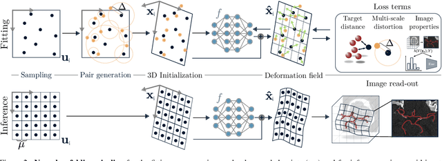 Figure 2 for Neural Image Unfolding: Flattening Sparse Anatomical Structures using Neural Fields