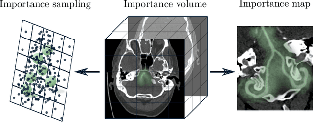 Figure 4 for Neural Image Unfolding: Flattening Sparse Anatomical Structures using Neural Fields