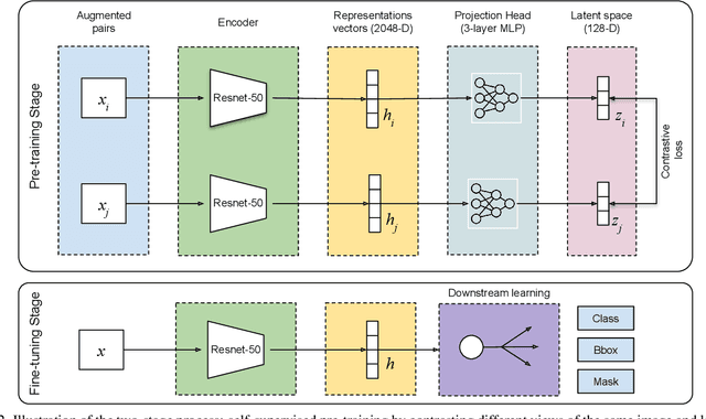 Figure 3 for Self-Supervised Backbone Framework for Diverse Agricultural Vision Tasks