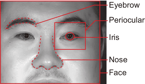 Figure 1 for Multibiometrics Using a Single Face Image