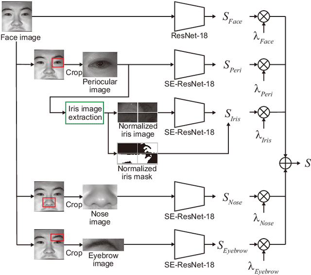 Figure 2 for Multibiometrics Using a Single Face Image