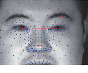 Figure 3 for Multibiometrics Using a Single Face Image