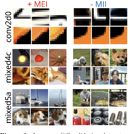 Figure 2 for Understanding Inhibition Through Maximally Tense Images