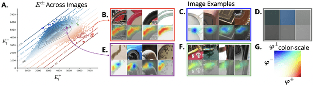 Figure 4 for Understanding Inhibition Through Maximally Tense Images