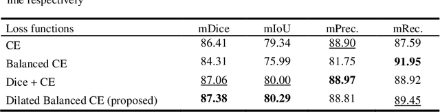 Figure 2 for Dilated Balanced Cross Entropy Loss for Medical Image Segmentation