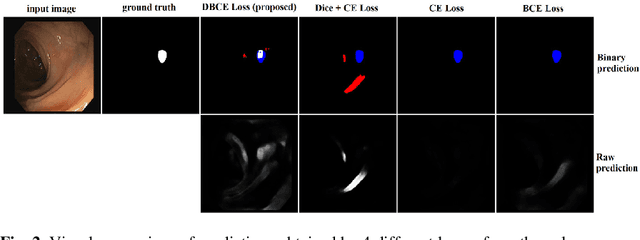 Figure 4 for Dilated Balanced Cross Entropy Loss for Medical Image Segmentation